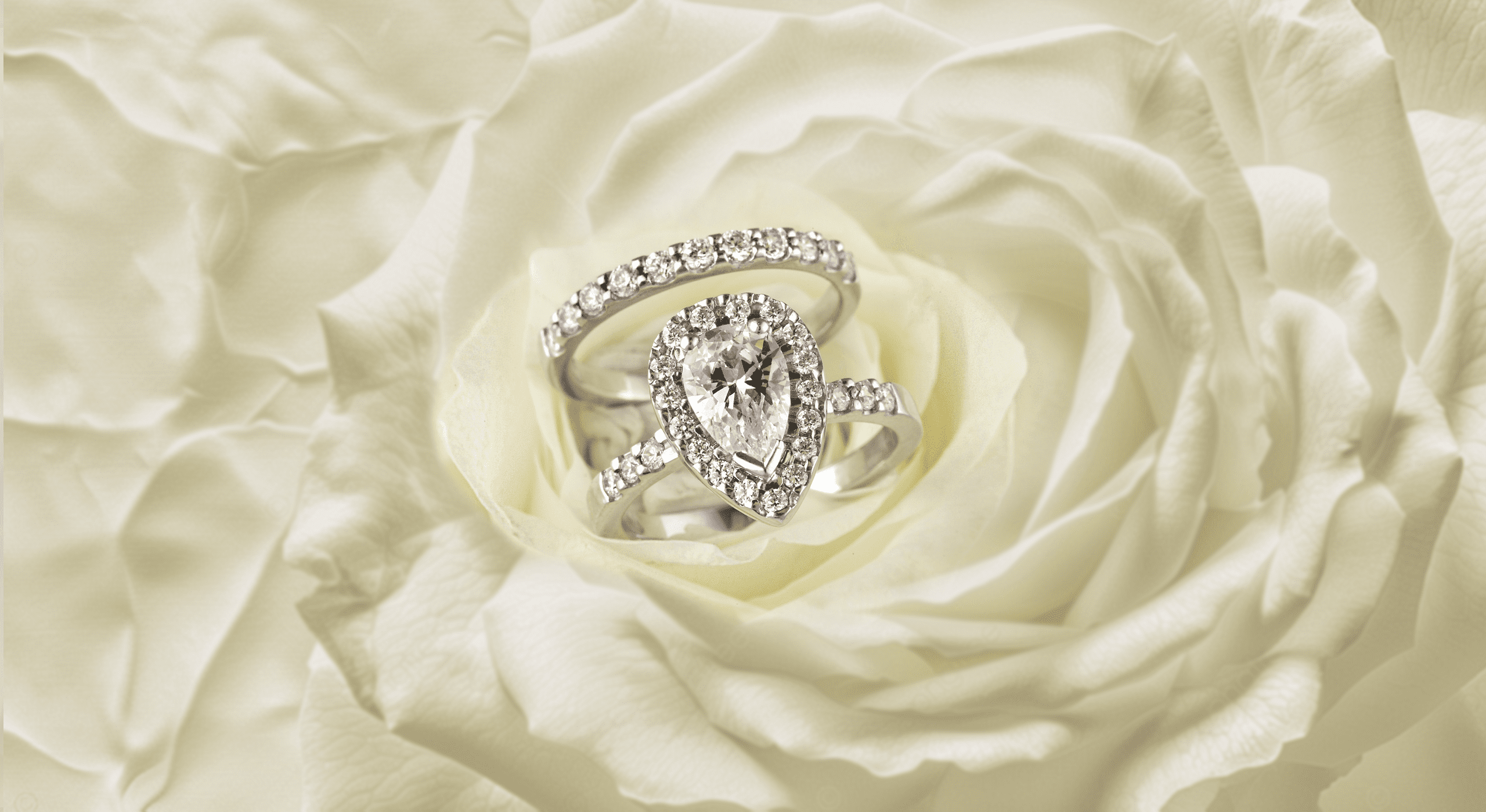 pear-shape-ring-on-top-of-a-rose